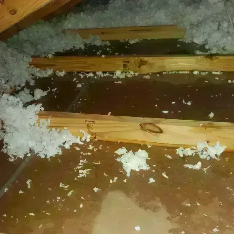 Attic Water Damage in East Berwick, PA